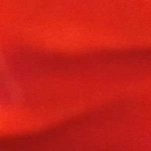 Meet your Posher, Carina